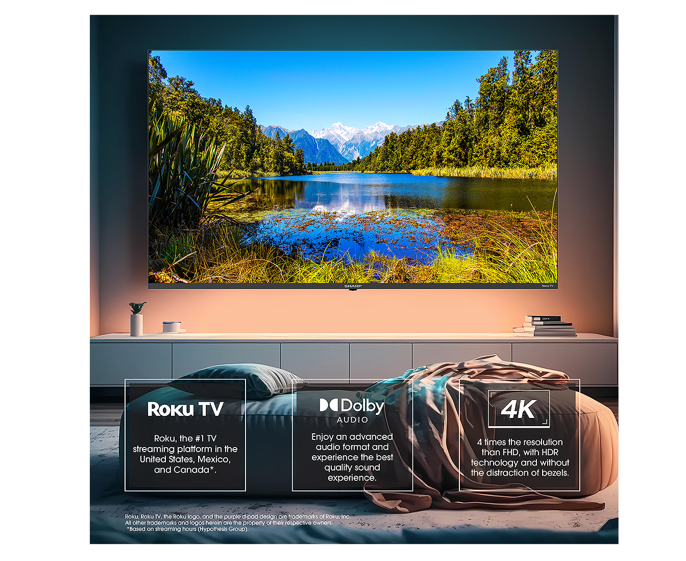 4T-C55EL8UR features