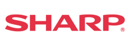 Footer Logo